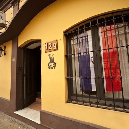 Black Cat Hostel Asuncion Dış mekan fotoğraf