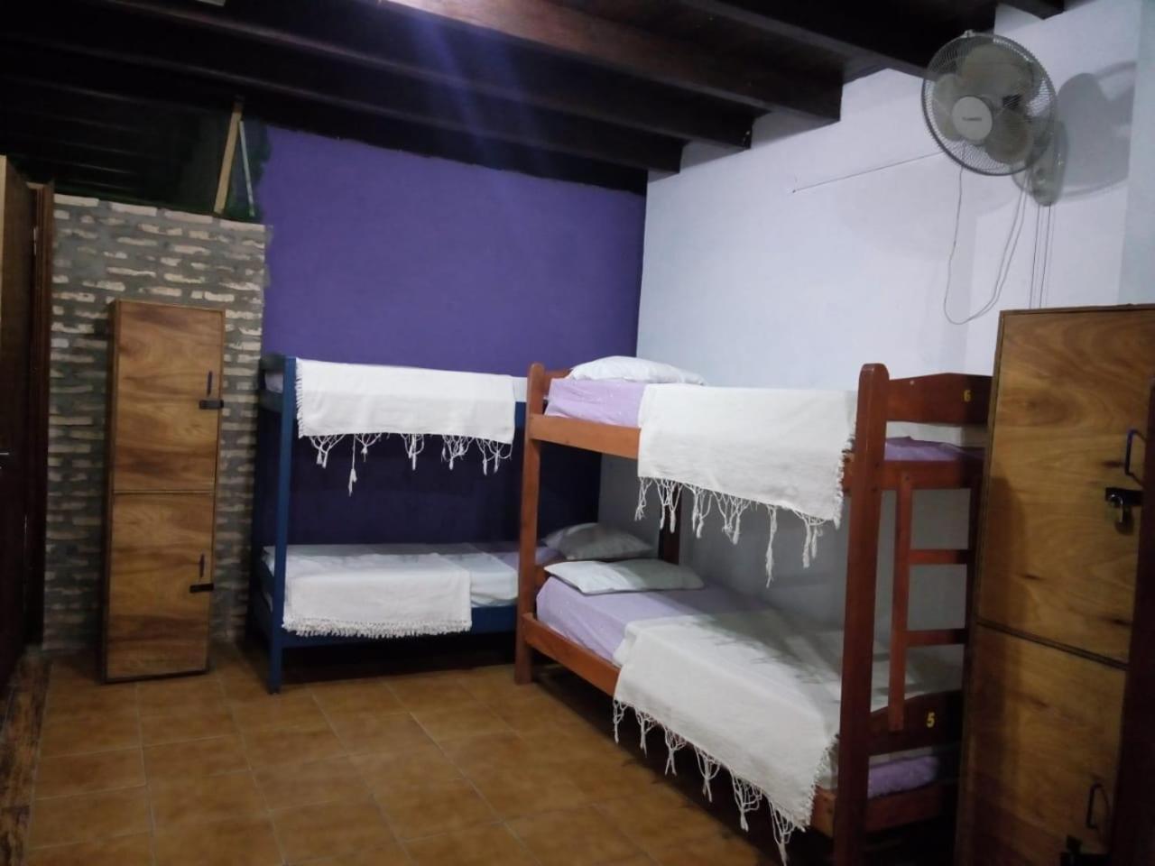 Black Cat Hostel Asuncion Dış mekan fotoğraf